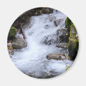 Mossy Autumn Stream Magnet (Vorne)