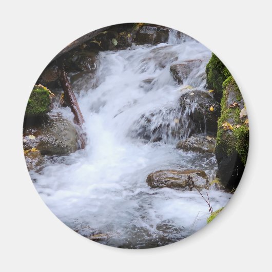 Mossy Autumn Stream Magnet (Vorne)