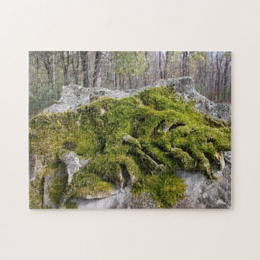 Mossy Broken Headstone Puzzle (Horizontal)