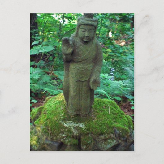 Mossy Buddha Postkarte (Vorderseite)