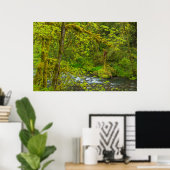 Mossy Felsen und Bäume, der Adlerkrebs Poster (Heimbüro)