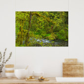 Mossy Felsen und Bäume, der Adlerkrebs Poster (Küche)