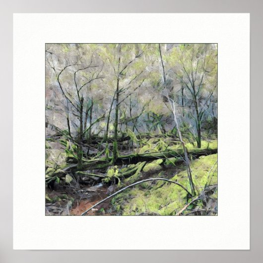 Mossy Forest Poster (Vorne)