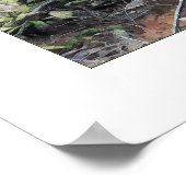 Mossy Forest Poster (Ecke)