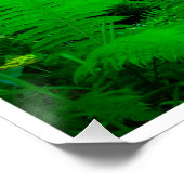 Mossy Forest Stream in Killarney National Park Poster (Ecke)