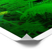 Mossy Forest Stream in Killarney National Park Poster (Ecke)