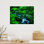 Mossy Forest Stream in Killarney National Park Poster (Küche)