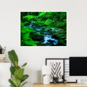 Mossy Forest Stream in Killarney National Park Poster (Heimbüro)