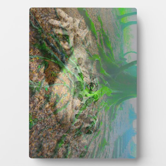 Mossy Frog Fotoplatte (Vorderseite)