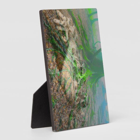 Mossy Frog Fotoplatte (Seite)