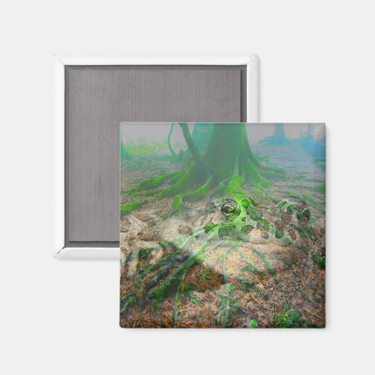 Mossy Frog Magnet (Vorderseite/Rückseite)