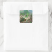 Mossy Frog Quadratischer Aufkleber (Tasche)