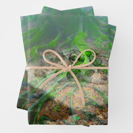 Mossy Frosch Geschenkpapier Set (Beispiel)