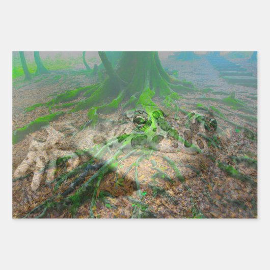 Mossy Frosch Geschenkpapier Set (Vorderseite)