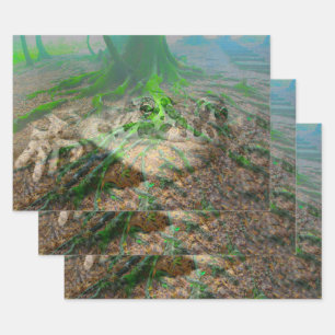 Mossy Frosch Geschenkpapier Set