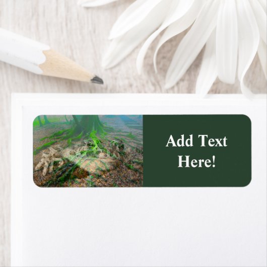 Mossy Frosch Label (Insitu)