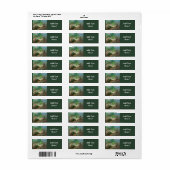 Mossy Frosch Label (Vorne)