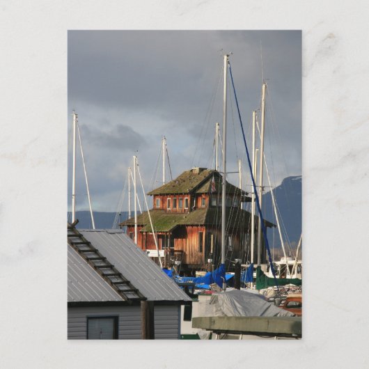 Mossy Habour Postkarte (Vorderseite)