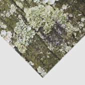 Mossy Oak Trunk Seidenpapier (Ausschnitt)