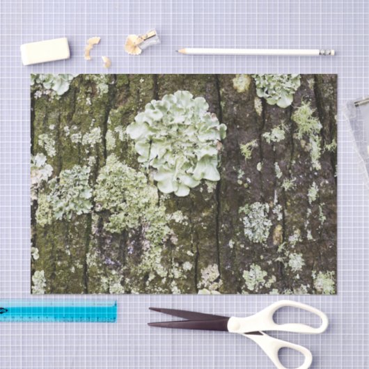 Mossy Oak Trunk Seidenpapier (Handwerk)