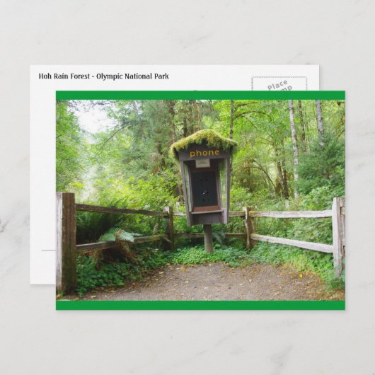 Mossy Phone Booth - Hoh Rain Forest Postkarte (Vorne/Hinten)
