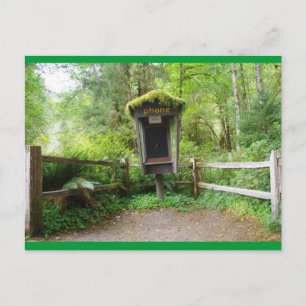 Mossy Phone Booth - Hoh Rain Forest Postkarte