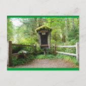Mossy Phone Booth - Hoh Rain Forest Postkarte (Vorderseite)