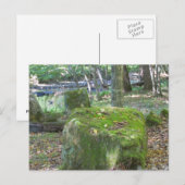 Mossy Rocks auf Bank Postkarte (Vorne/Hinten)