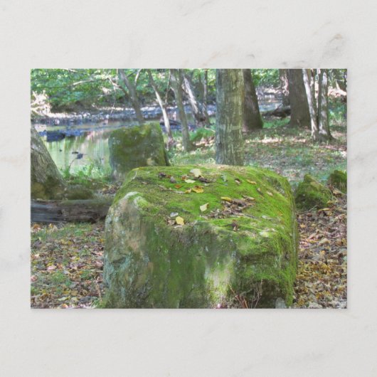 Mossy Rocks auf Bank Postkarte (Vorderseite)