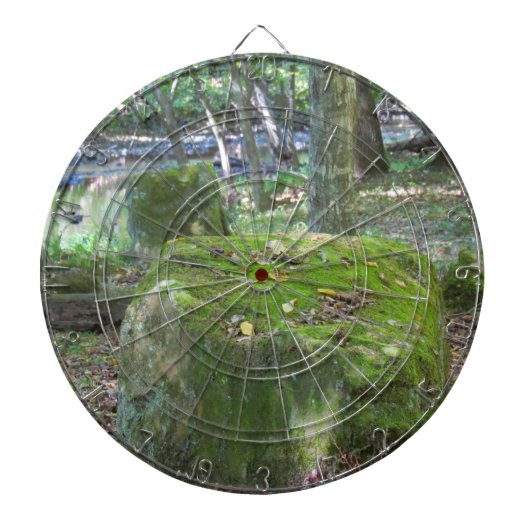 Mossy Rocks Dartscheibe (vorne)