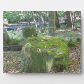 Mossy Rocks Fotoplatte (Vorderseite)