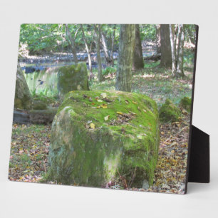 Mossy Rocks Fotoplatte