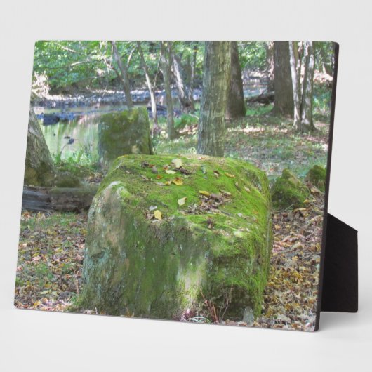 Mossy Rocks Fotoplatte (Seite)