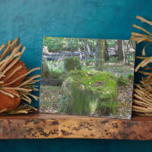 Mossy Rocks Fotoplatte (Seite)