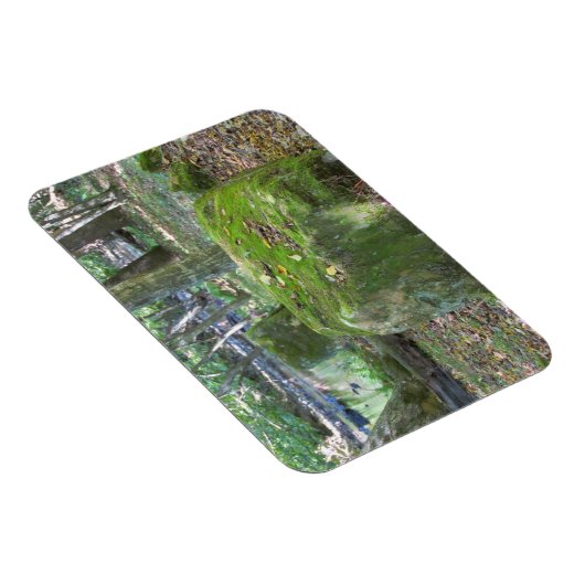 Mossy Rocks Magnet (Rechte Seite)
