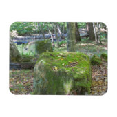 Mossy Rocks Magnet (Horizontal)