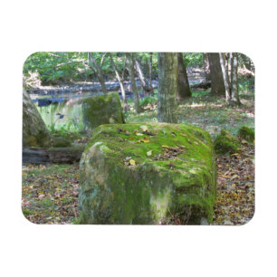 Mossy Rocks Magnet