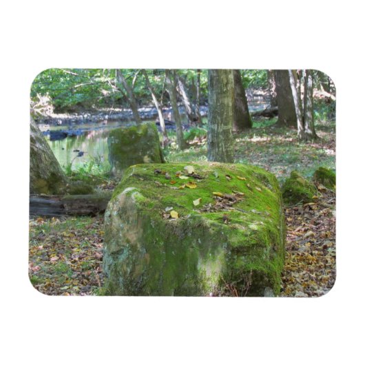 Mossy Rocks Magnet (Horizontal)