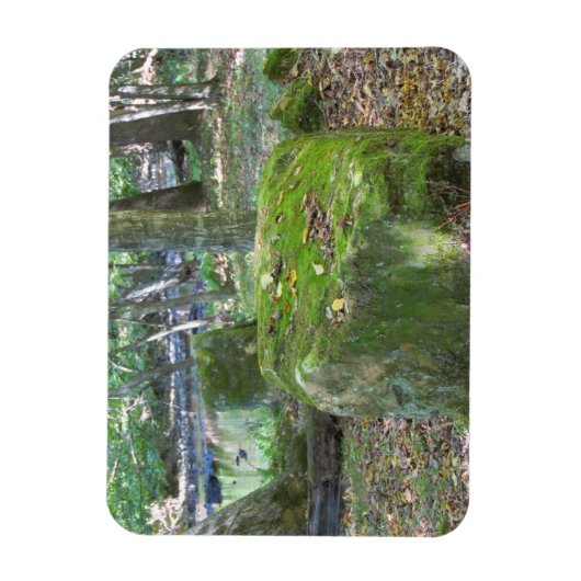 Mossy Rocks Magnet (Vertikal)