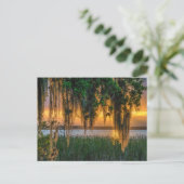 Mossy Sunrise Postkarte (Stehend Vorderseite)