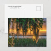 Mossy Sunrise Postkarte (Vorne/Hinten)