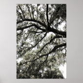 Mossy Textures 1 Poster (Vorne)