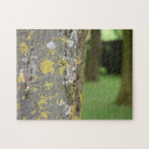 Mossy Tree Woods Nature Fotografy Garden Puzzle