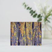 Mossy Wood Textur Postcard Postkarte (Stehend Vorderseite)