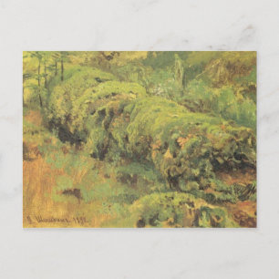 Mossy Wood von Ivan Shishkin Postkarte