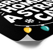 Most Likely To Bring Home A Stray Cat Funny Christ Poster (Ecke)