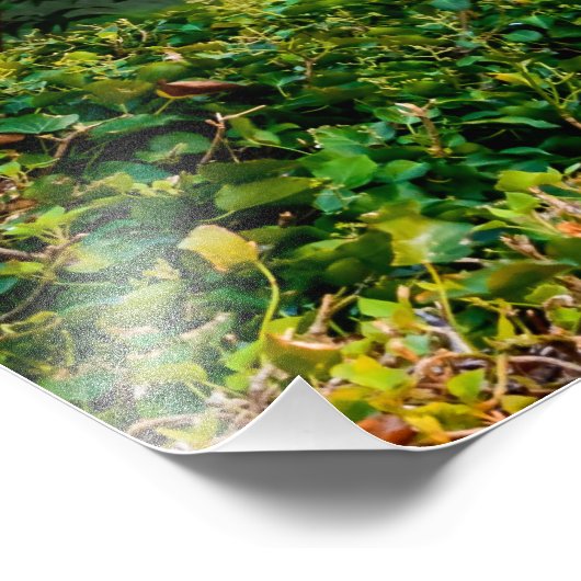 Mostar Fotodruck (Ecke)