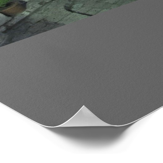 Mostar Poster (Ecke)