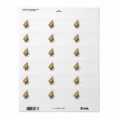 Moth Adressaufkleber (Vorne)