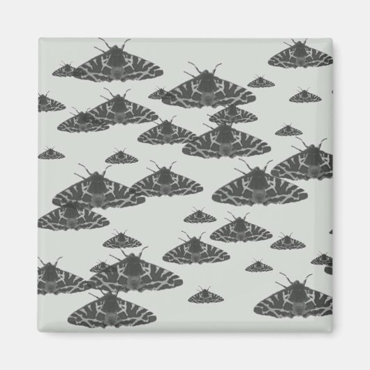 Moth am Abend lauert um Mitternacht Magnet (Vorne)